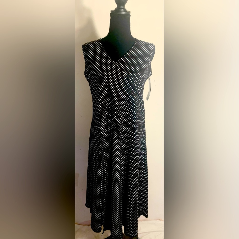 Lasania Canada NWT Polka Dot Dress size 10